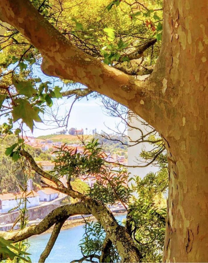 Willa Arrabida House Porto Zewnętrze zdjęcie